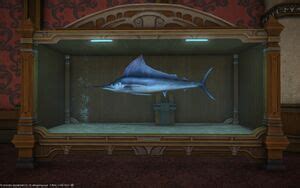 ff14 mazlaya marlin fish guide.